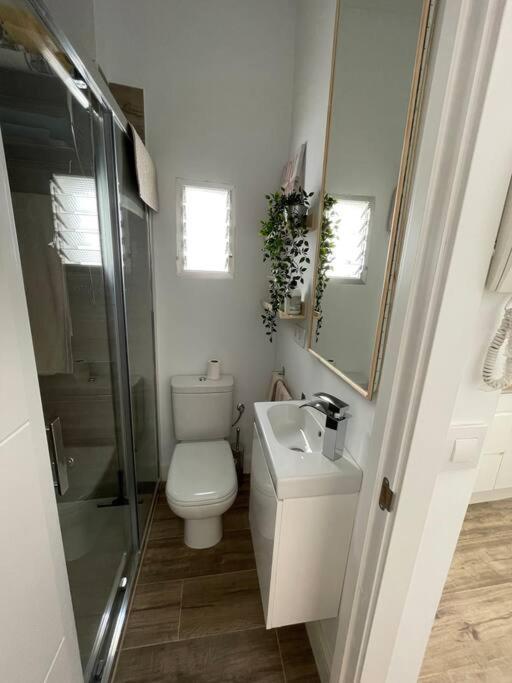 Atico Duplex Con Terraza En Pleno Centro De Jerez Daire Jerez de la Frontera Dış mekan fotoğraf